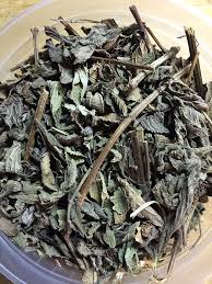 Lippia Abyssinica FREE SHIPPING