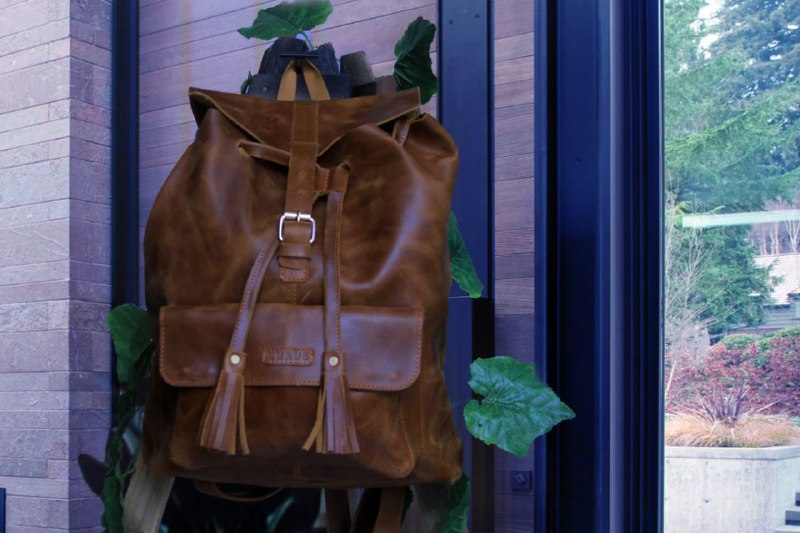 Back pack bag FREE SHIPPING