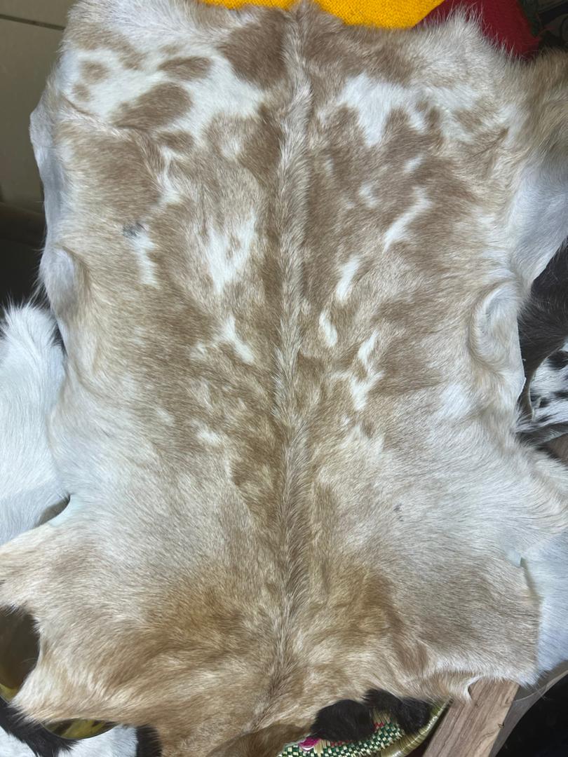 Ethiopian Natural Original Goat skin Rug FREE SHIPPING