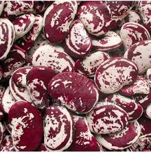 Ethiopian Organic Kidney Beans(adenguare, aba choma) FREE SHIPPING