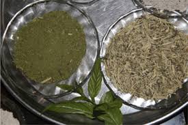 Home Made Gesho (Rhamnus Prinoides) FREE SHIPPING
