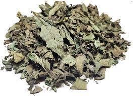 Lippia Abyssinica FREE SHIPPING