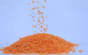 Ethiopian Organic Lentil(meser kek) FREE SHIPPING