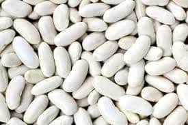 Ethiopian Organic Haricot Beans FREE SHIPPING