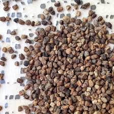 Ethiopian Organic Black Cardamom seed  FREE SHIPPING